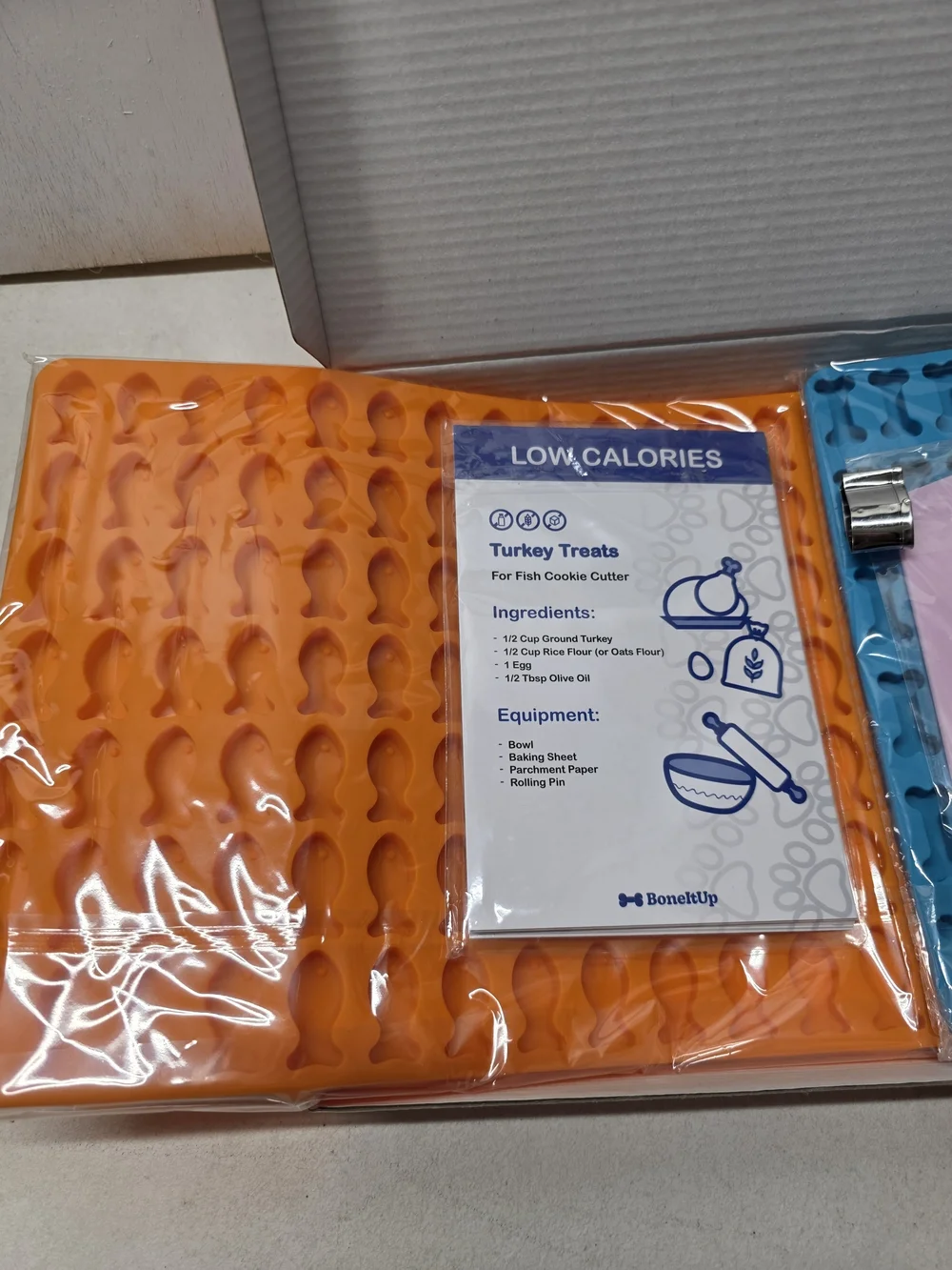 Cat Edition Treat Box in Orange & Blue